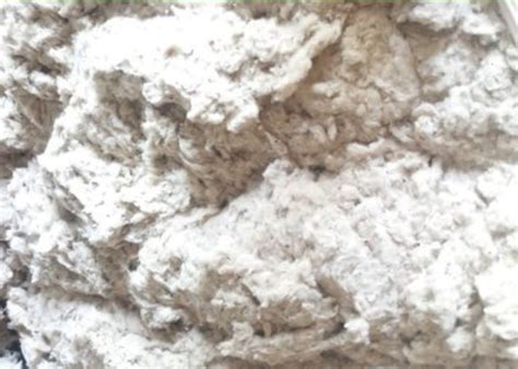 cotton linter