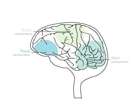 Brain Chart Maker 100 Stunning Chart Types Vizzlo