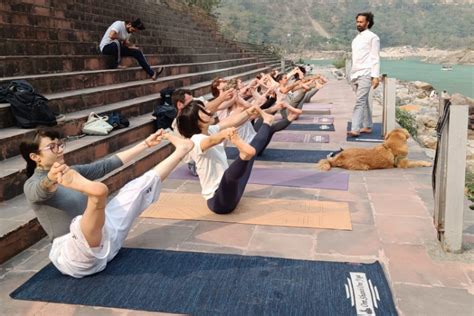 Top 15 200 Hrs Yoga Teacher Training Courses In Rishikesh Balancegurus