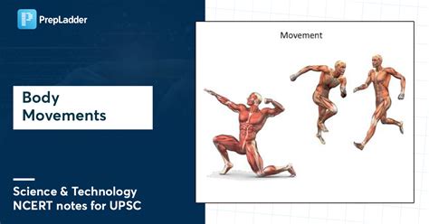 Body Movements Science And Tech Ncert Notes For Upsc