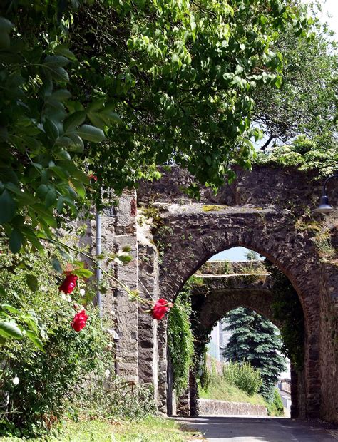 Burg Hohensolms