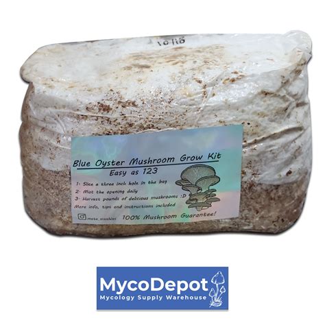 Blue Oyster Mushroom Growkit MycoDepot