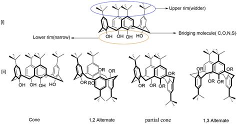 I Structure Of Calix 4 Arene Ii Various Possible Conformations Of