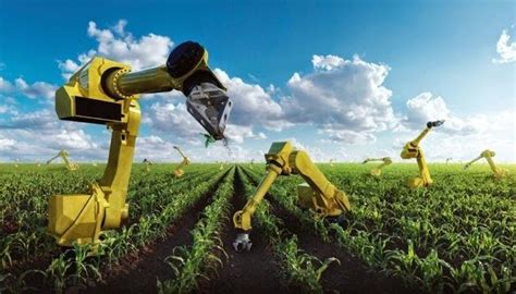 The Ag In Agricultural Innovation Comes First Future Agro Challenge