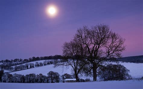 Moonlit Snow Scene Winter Scenery Winter Scenes Landscape Trees