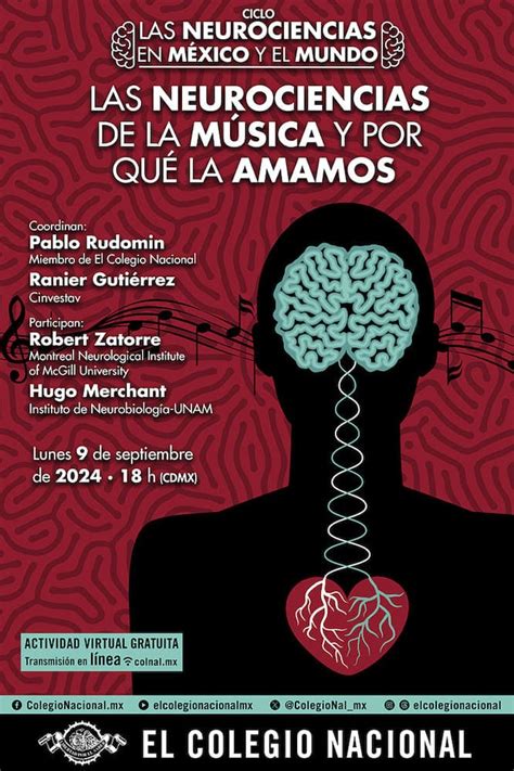 Las Neurociencias De La M Sica Y Por Qu La Amamos Actividad El