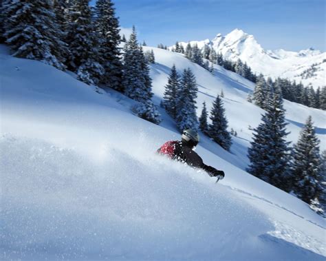 Freeriding - Sport und Lebensgefühl - SalzburgerLand Magazin