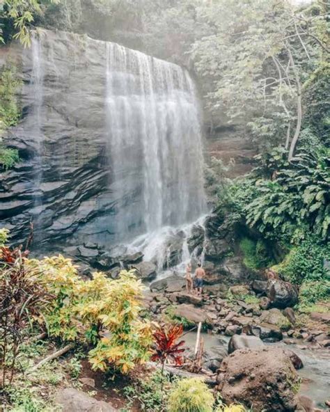 The 5 Best Grenada Waterfalls (With Local Tips) | 2025