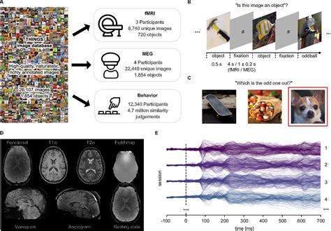 THINGS Data A Multimodal Collection Of Large Scale Datasets For