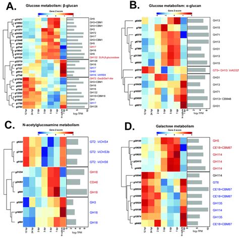 Heatmaps Showing The Expression Profiles Of Genes From Venturia