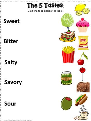 The Five Tastes Worksheets