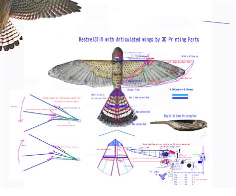 Ornithopters — Plane documentation