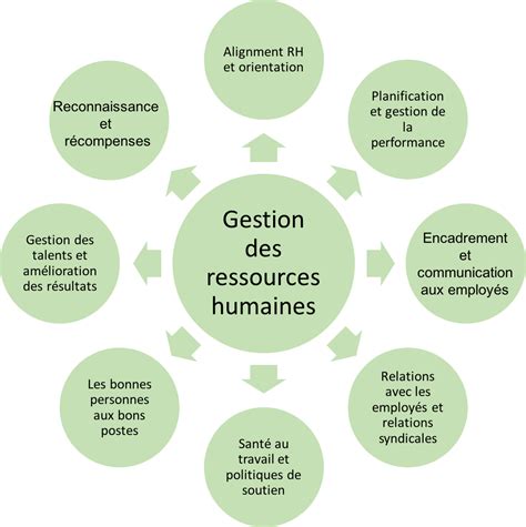 Services Des Ressources Humaines Ecoleoca