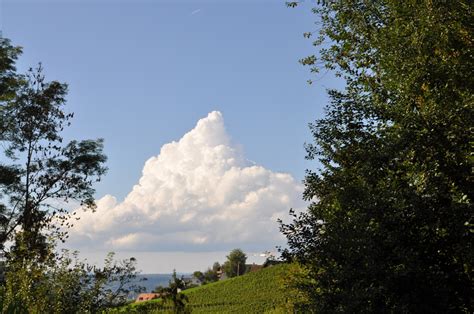 Free Images Landscape Tree Nature Grass Branch Cloud Sky Field