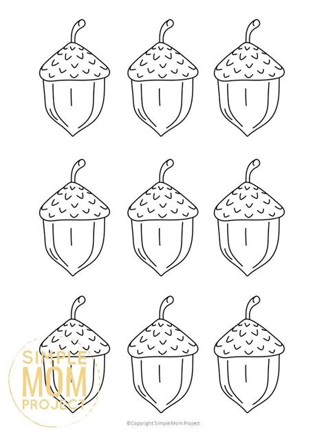 Printable Acorn Coloring Page Sexiezpix Web Porn