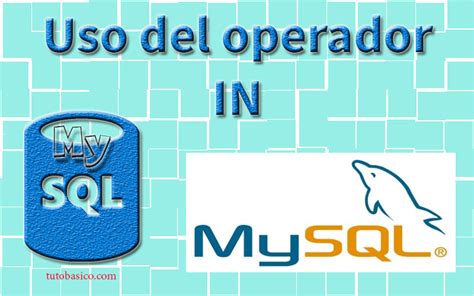 Uso De In En Consultas Mysql Tutoriales