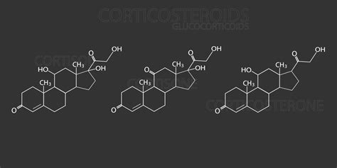 Corticosteroides Glucocorticoides Molecular Esquelético Químico Fórmula 37960256 Vector En Vecteezy