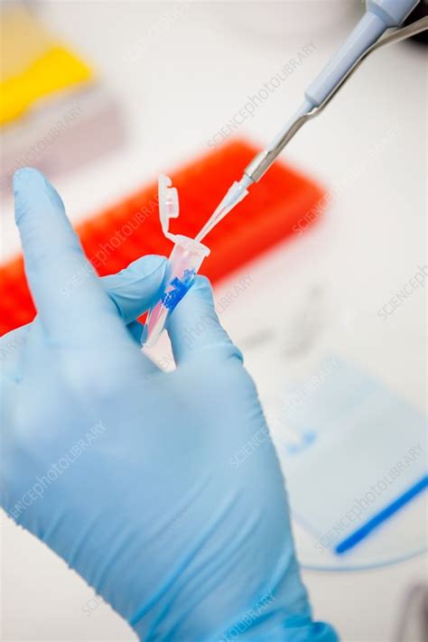 Protein Analysis And Sample Preparation Stock Image C0355202 Science Photo Library