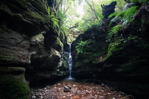 Waterfalls Near Hobart You Can See On A Day Trip