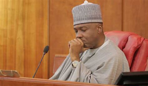 Case Revived Appeal Court Sends Saraki Back To Cct