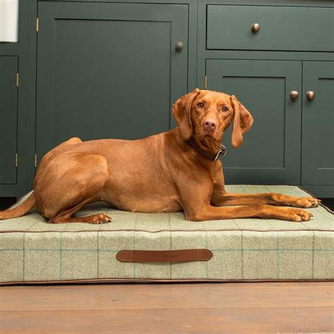 Our Luxurious New Willow Check Tweed Mattress Dog Bed Is A Deep