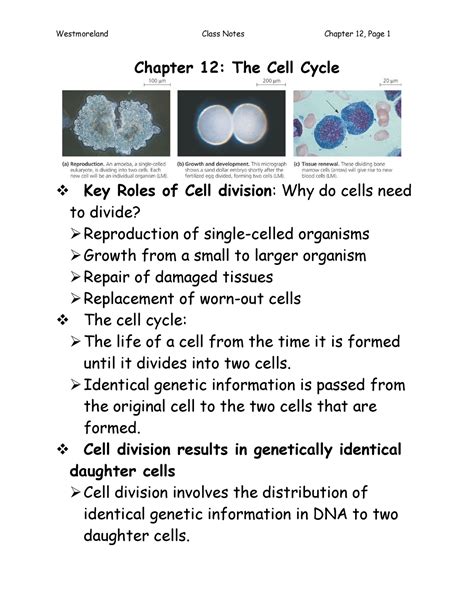 Chapter 12 The Cell Cycle Westmoreland Class Notes Chapter 12 Page