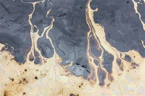Ecuador Oil Spill Blamed On Human Error Sullies