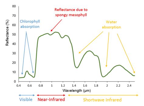 Vegetation Spectral Signature Cheat Sheet