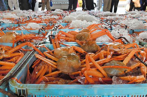 Crab Season 2024 Alaska Berry Celinda