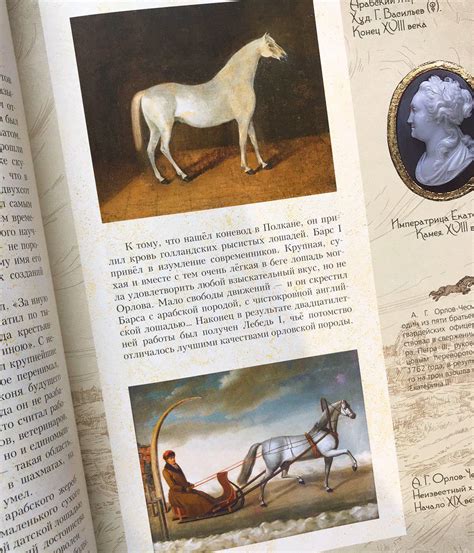 Удивительные кони - Vilki Books