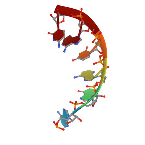 Rcsb Pdb F H Crystal Structure Of Dss Exoribonuclease Active Site