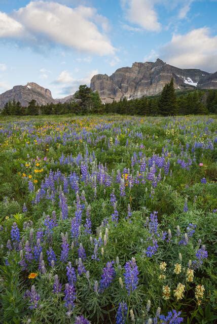 Glacier National Park | Craig Goodwin Photography