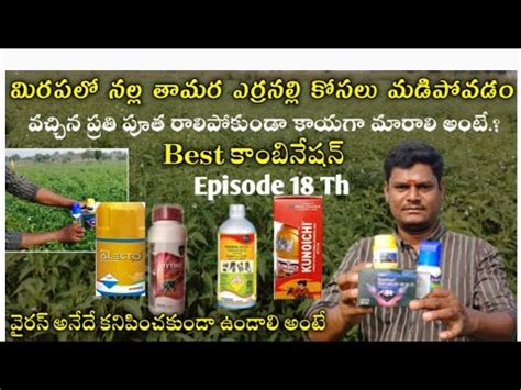 Episode 18 Th మరపల నలల తమర ఎరర నలల తలల దమ కసల మడ పవట