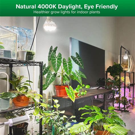 grow light bulbs