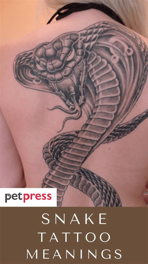 Snake Tattoo Meaning Tattoos With Meaning Tattoo Meanings