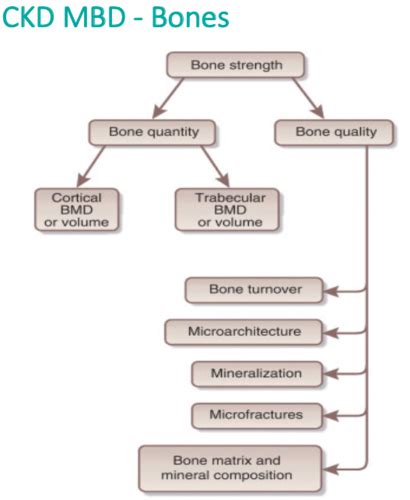 NEPHRO 12 Mineral And Bone Disorder In CKD Hyperphosphatemia