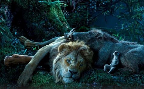 El Rey León Compartieron Imágenes Inéditas De La Nueva Película De Disney Infobae