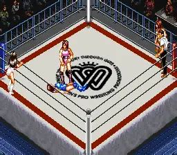 Super Fire Pro Wrestling Queens Special 슈퍼 파이어 프로 레슬링 퀸즈 스페셜 スーパー