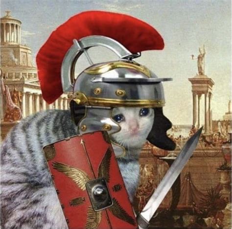 Sad Roman Cat Memes