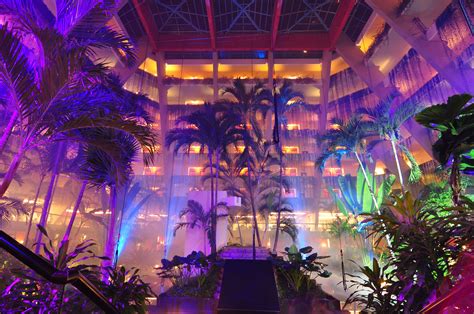 OASISHOTELS.COM | Grand oasis cancun, Oasis cancun, Grand oasis