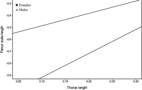 Allometric Relationships Between Log Thorax Length Body Size And Log