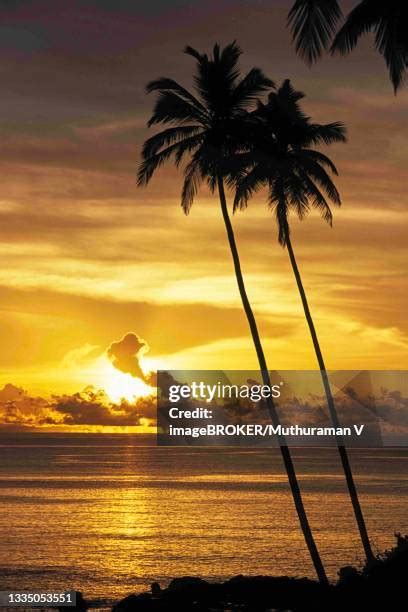 20 Barren Island Andaman Islands Stock Photos, High-Res Pictures, and ...