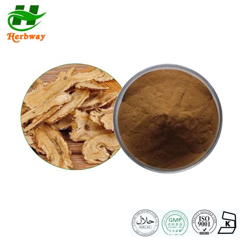 Herbway Free Sample Angelica Sinensis Extract Pharmaceutical Health