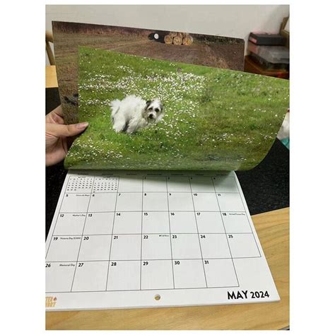 Wandkalender Hunde Kacken Lustiger Hundemuster Wandkalender