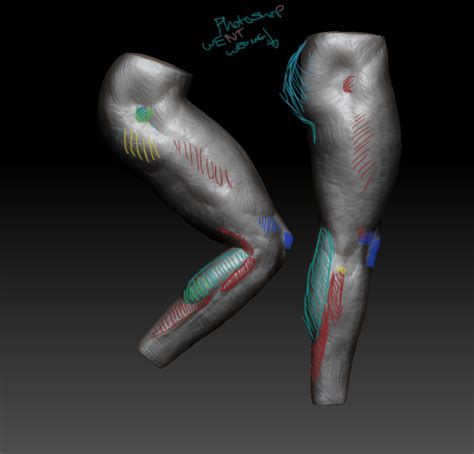 Term 1: Advanced Skills: Leg Reworks and Development