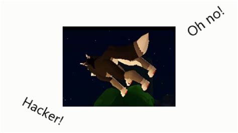 A Hacker on Wolves Life Dawn - YouTube