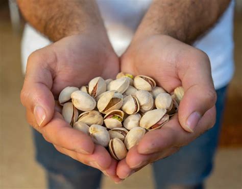 Cupped Hands Holding Pistachio Nuts Stock Image Image Of Health