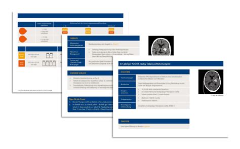 Case Card - der klinische Fall - Börm Bruckmeier Verlag GmbH