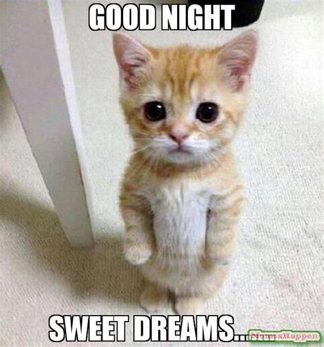 Good Night Memes Funny Goodnight Memes For Him And Her Cat Memes