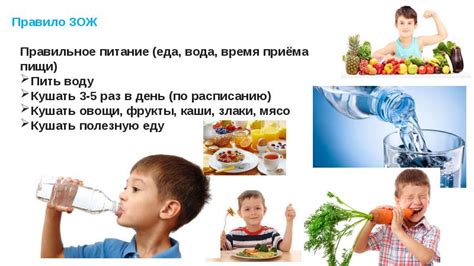 Что такое ЗОЖ?